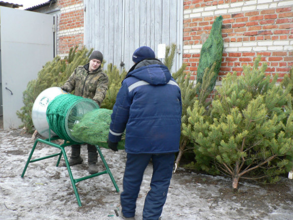 Ёлочная сетка Ёлочная сетка